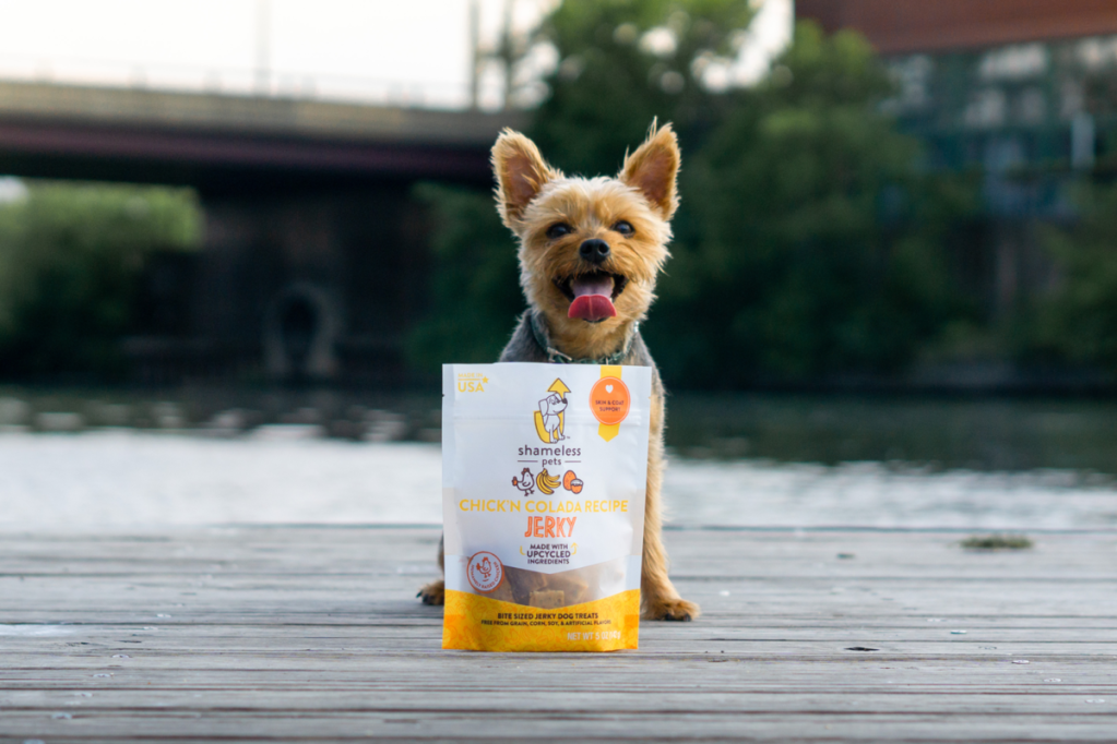 Cibo per Cani negozio -Cibo per Cani negozio Shameless Pets 2