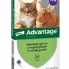 Bayer Advantage Gatto 4 Kg O Superiore Pipette Antiparassitario Per Gatti -Cibo per Cani negozio advantage gatto 4kg o superiore bayer