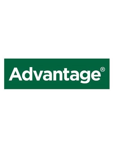 Bayer Advantage Gatto Peso Inferiore A 4Kg 4 Pipette Antiparassitario Per Gatti E Conigli 4 Bayer Advantage Gatto Peso Inferiore A 4Kg 4 Pipette Antiparassitario Per Gatti E Conigli - immagine 2