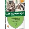 Bayer Advantage Gatto Peso Inferiore A 4Kg 4 Pipette Antiparassitario Per Gatti E Conigli 1 Bayer Advantage Gatto Peso Inferiore A 4Kg 4 Pipette Antiparassitario Per Gatti E Conigli -Cibo per Cani negozio advantage gatto peso inferiore a 4kg bayer