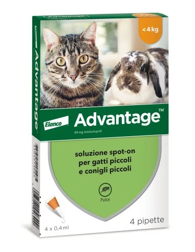 Bayer Advantage Gatto Peso Inferiore A 4Kg 4 Pipette Antiparassitario Per Gatti E Conigli 3 Bayer Advantage Gatto Peso Inferiore A 4Kg 4 Pipette Antiparassitario Per Gatti E Conigli