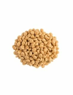 FERRIBIELLA S.P.A. Copertina Glow In The Dark Blu . Cucce Per Cani.