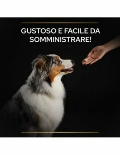 Kong Terrain Misura Small 5 Metri . Nero . Guinzaglio Per Cani -Cibo per Cani negozio descrizione 20