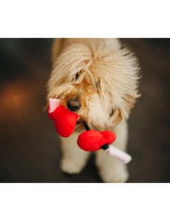 PLAY Gioco Cuori Peluche. Gioco Per Cani 7 PLAY Gioco Cuori Peluche. Gioco Per Cani -Cibo per Cani negozio gioco cuori peluche 2