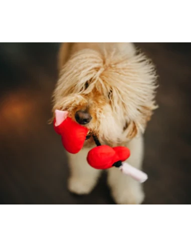 PLAY Gioco Cuori Peluche. Gioco Per Cani 5 PLAY Gioco Cuori Peluche. Gioco Per Cani - immagine 3