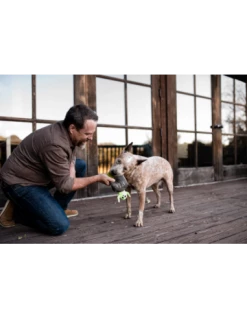 Gioco Play Howling Haunts, Lapide Peluche. Gioco Per Cani -Cibo per Cani negozio gioco play howling haunts calderone peluche gioco per cani 1 3