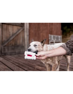 Gioco Play Howling Haunts, Dentiera Peluche. Gioco Per Cani -Cibo per Cani negozio gioco play howling haunts dentiera peluche gioco per cani 1 1