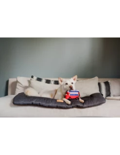 Gioco Play Mezzi Trasporto, Bus Londra Peluche. Giochi Per Cani 8 Gioco Play Mezzi Trasporto, Bus Londra Peluche. Giochi Per Cani -Cibo per Cani negozio gioco play mezzi trasporto bus londra peluche 2