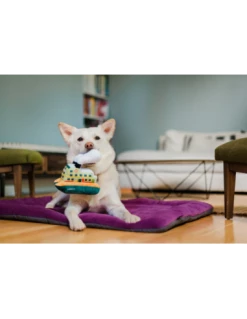 Gioco Play Mezzi Trasporto, Traghetto Peluche. Gioco Per Cani -Cibo per Cani negozio gioco play mezzi trasporto traghetto peluche 2