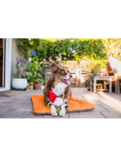 Gioco Play Mytichal Creature, Gnomo Peluche -Cibo per Cani negozio gioco play mytichal creature gnomo peluche 2