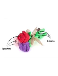 PLAY Gioco Rose Peluche. Gioco Per Cani -Cibo per Cani negozio gioco rose peluche 1