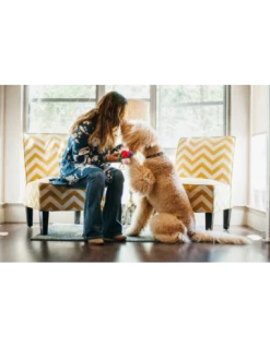 PLAY Gioco Rose Peluche. Gioco Per Cani -Cibo per Cani negozio gioco rose peluche 2