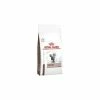 ROYAL CANIN HEPATIC CAT KG.2 1 ROYAL CANIN HEPATIC CAT KG.2 -Cibo per Cani negozio hepatic cat kg2