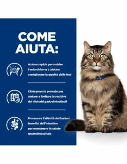 Hill's Feline Gastrointestinal Biome Kg 1,5.Diete Secco Per Gatti -Cibo per Cani negozio hill s feline gastrointestinal biome kg15 2