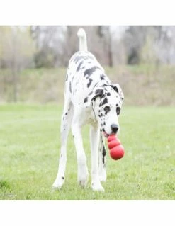 Kong Classic XXL . Giochi Per Cani -Cibo per Cani negozio kong classic xxl 2