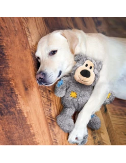 Kong Orsetto Wild Knots Medium/Large. Giochi Per Cani -Cibo per Cani negozio kong orsetto wild knots medium large 3