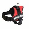 PETT.EXTREME DOG TG.XL ROSSO ARQUIVET -Cibo per Cani negozio pettextreme dog tgxl rosso arquivet