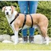 Trixie PETTORINA STAY TG.L-XL -Cibo per Cani negozio pettorina stay tgl xl
