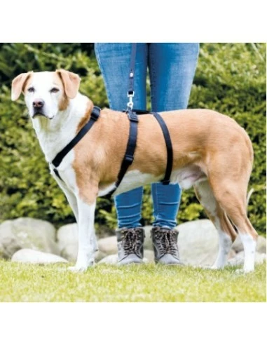 Trixie PETTORINA STAY TG.L-XL 3 Trixie PETTORINA STAY TG.L-XL