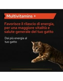 Pro Plan Cat Multivitamins Gr.60. Vitaminici Per Gatti -Cibo per Cani negozio pro plan cat multivitamins gr60 5