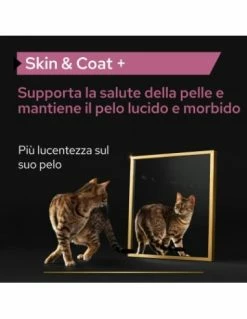 Pro Plan Cat Supplements Skin & Coat Ml.150. Vitaminici Per Gatti 14 Pro Plan Cat Supplements Skin & Coat Ml.150. Vitaminici Per Gatti -Cibo per Cani negozio pro plan cat supplements skin coat ml150 4