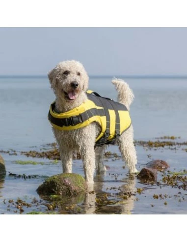 Trixie Salvagente Per Cani Misura Small35Cm Giallo. Accessori Per Cani 3 Trixie Salvagente Per Cani Misura Small35Cm Giallo. Accessori Per Cani