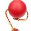 GIMBORN ITALIA S.R.L. Tuggo Palla Con Corda Mis.m 17,8 Cm. Giochi Per Cani -Cibo per Cani negozio tuggo palla con corda mism 178 cm